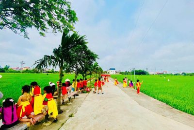 Hoạt động tham quan cánh đồng lúa quê hương.